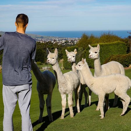 Alpaca Farmstay Dunedin Eksteriør billede