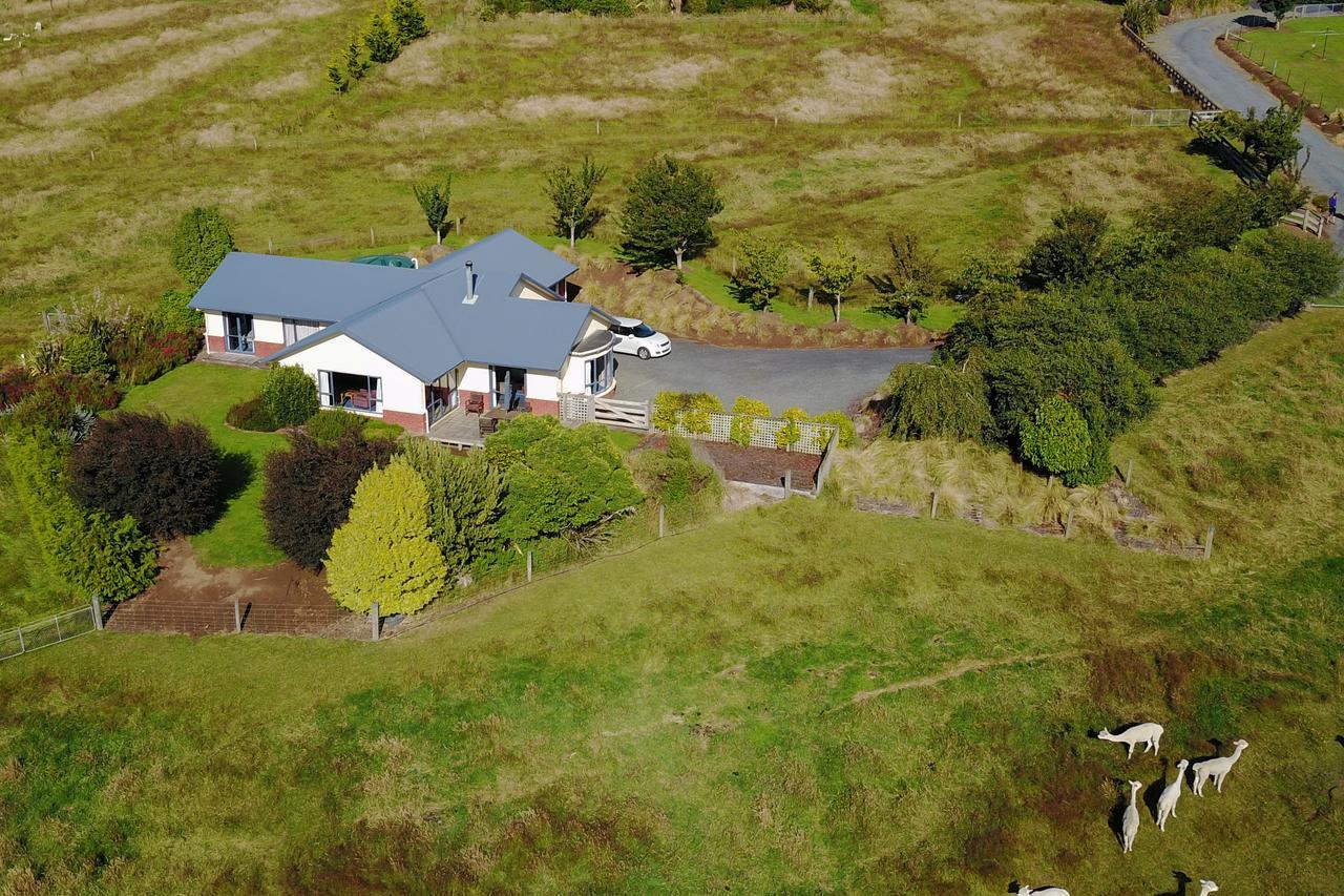 Alpaca Farmstay Dunedin Eksteriør billede