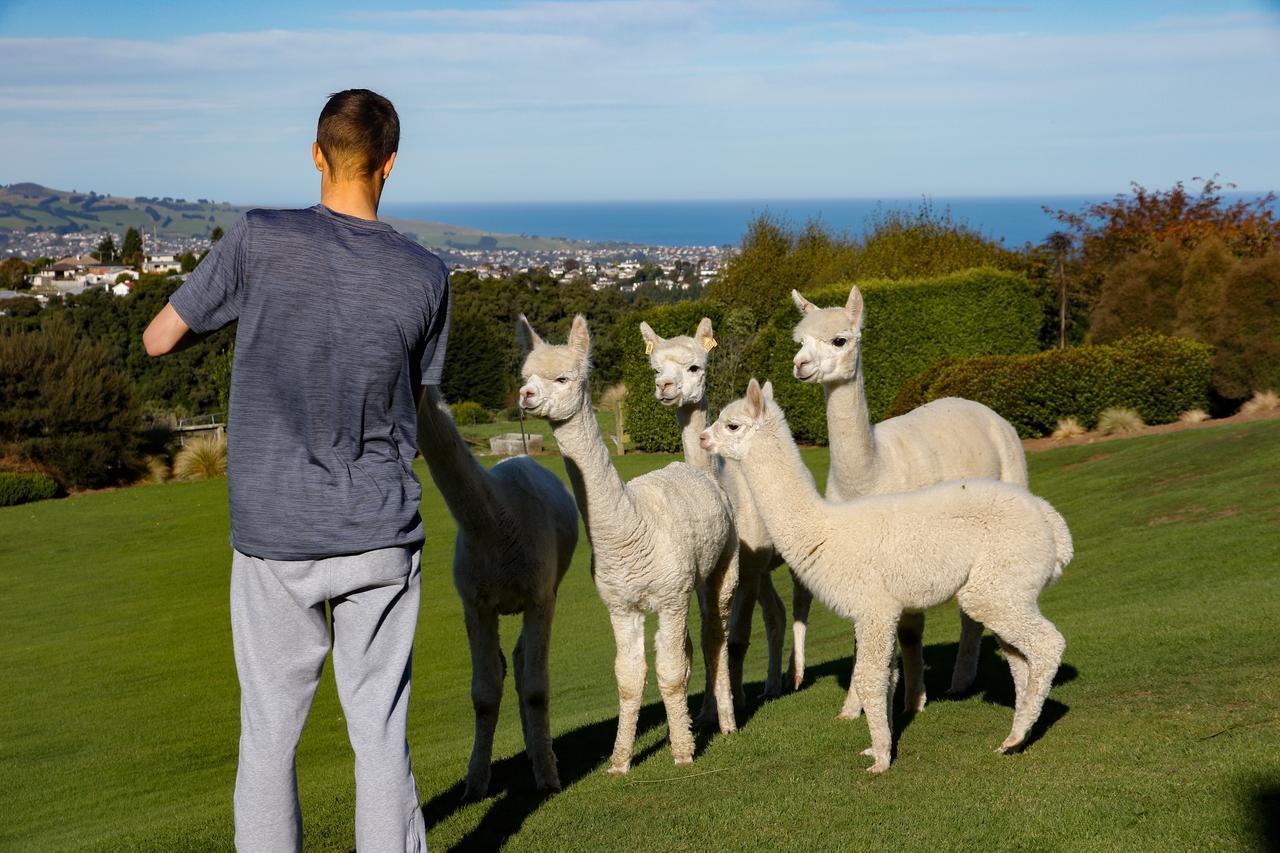 Alpaca Farmstay Dunedin Eksteriør billede